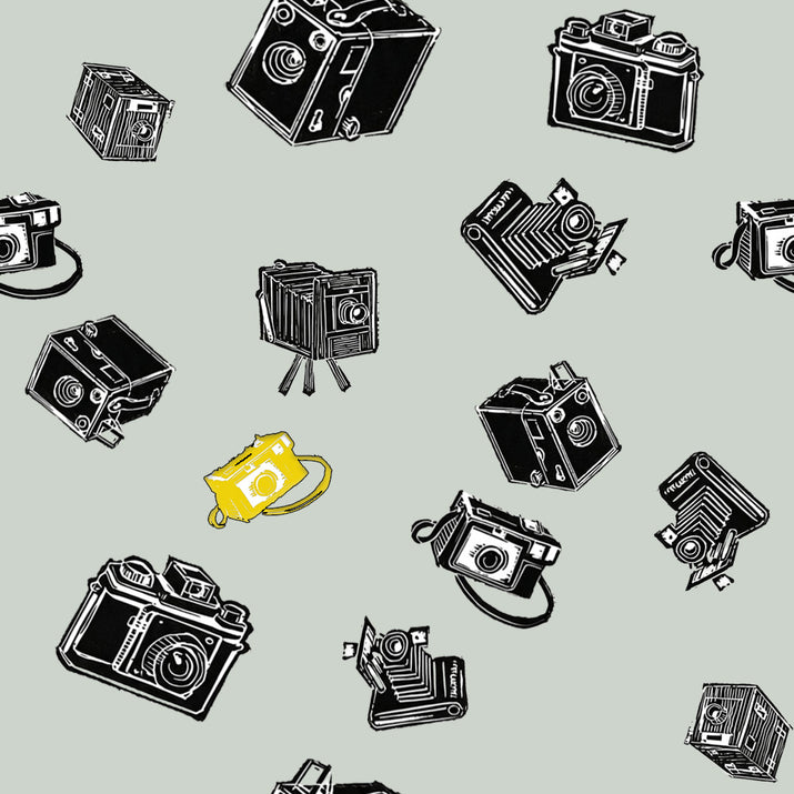 Retro Cameras