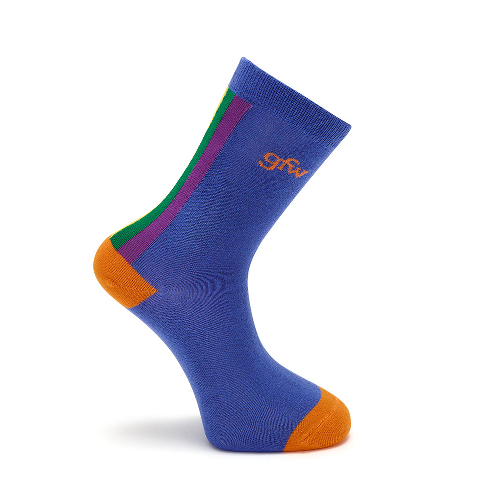 Socks Blue Rainbow Stripe xS only